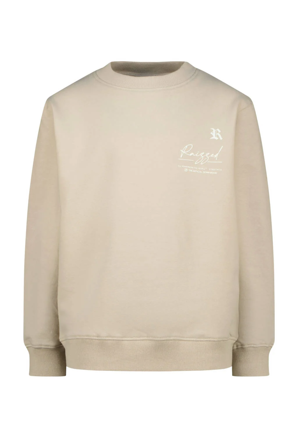 Raizzed sweater grijs