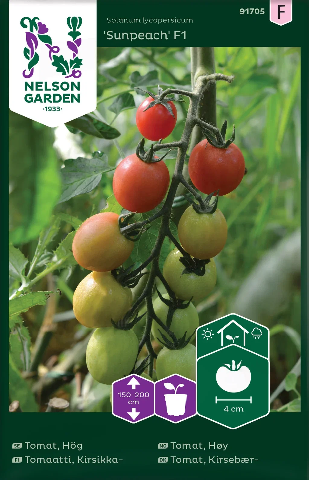 Solanum lycopersicum 'Cindel' Høytomat 'Sunpeach F1'