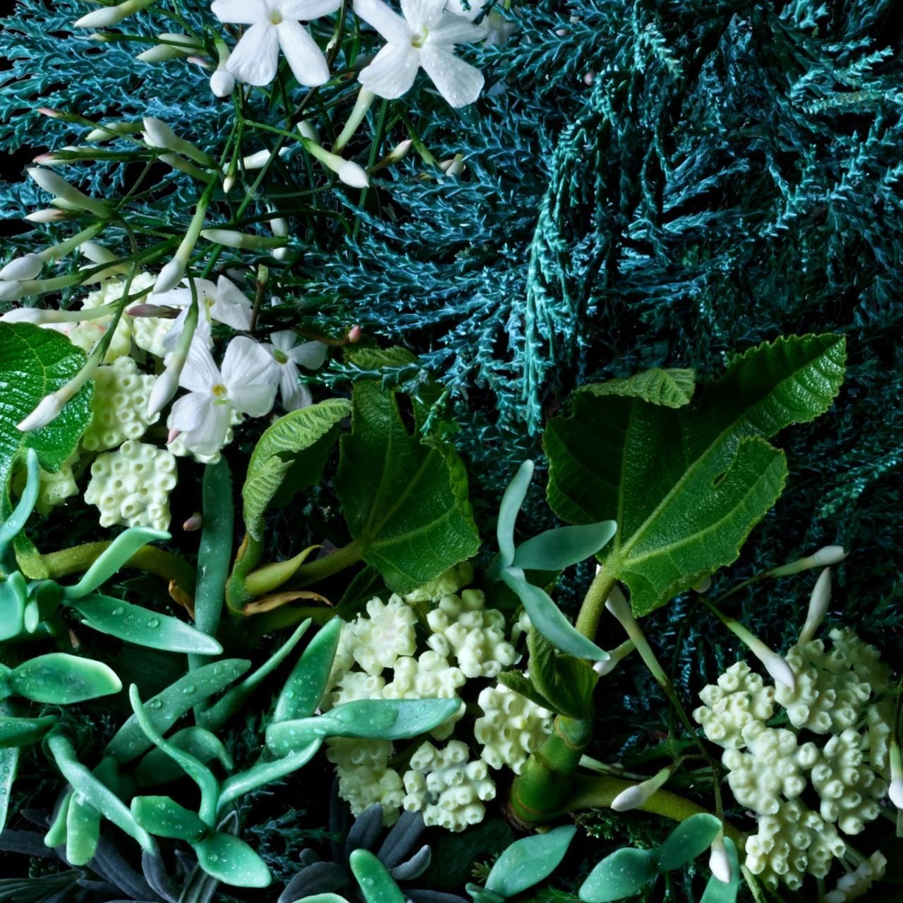 Molton Brown, Coastal Cypress & Sea Fennel Handseife