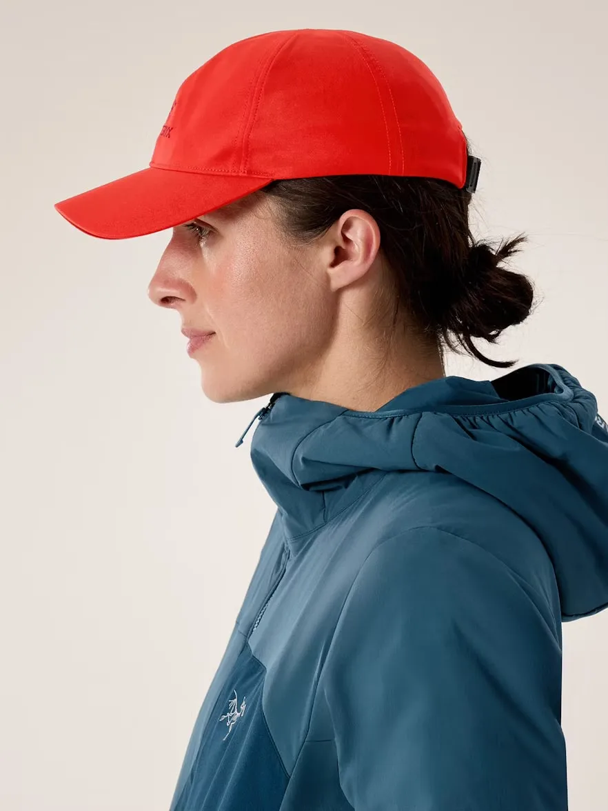 Arc'teryx Bird Word Cap Dynasty