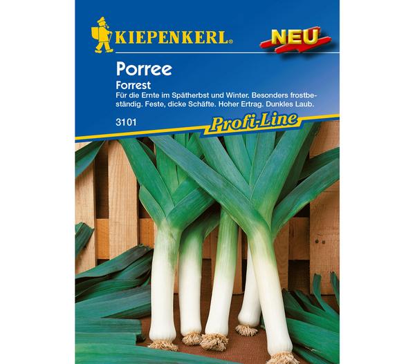 Kiepenkerl Samen Porree 'Forest'