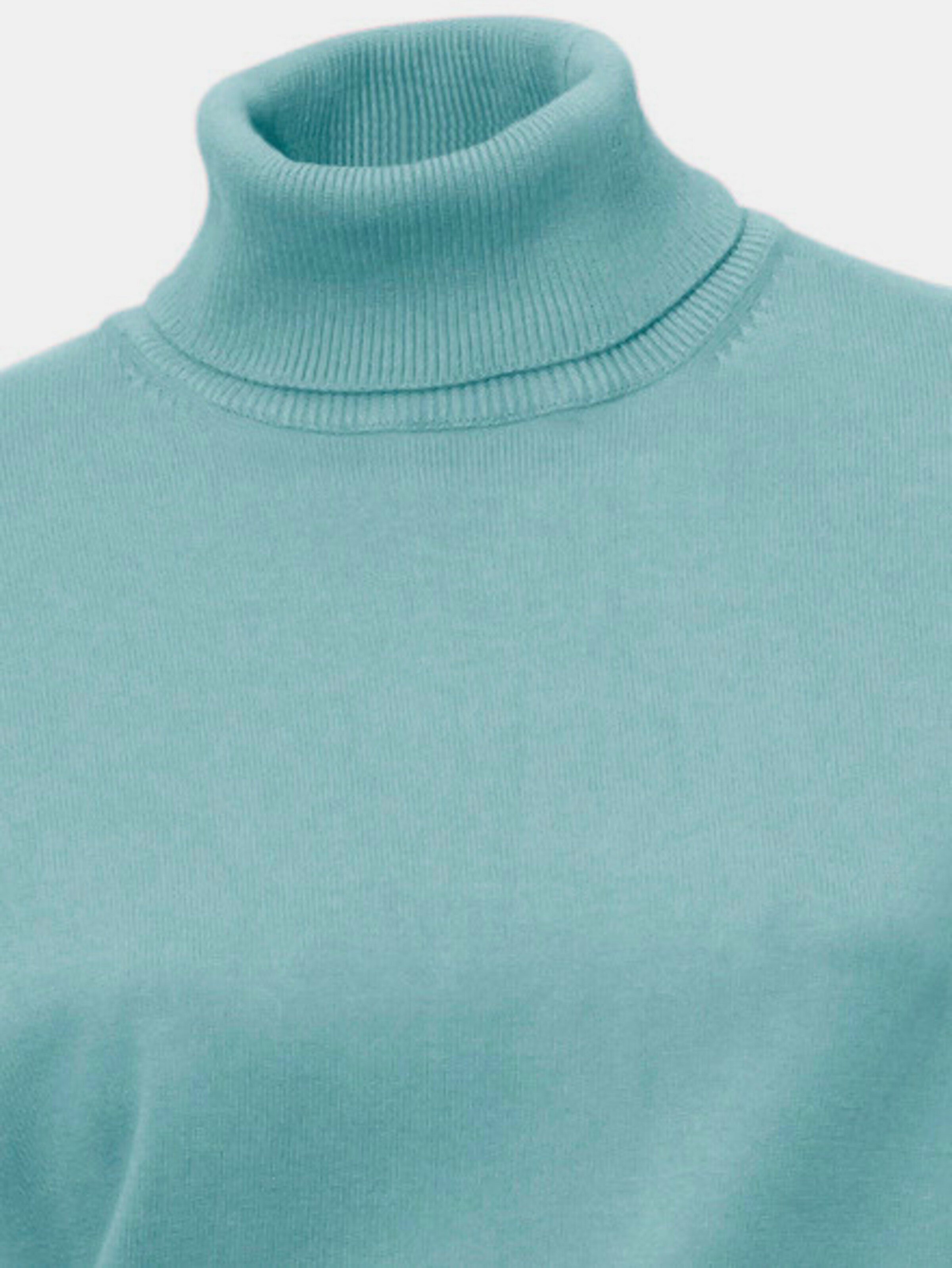Rollkragenpullover