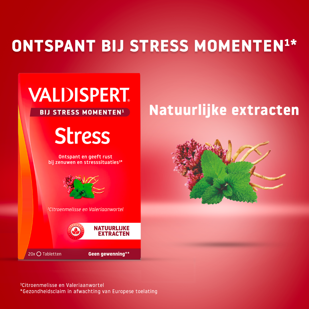 Valdispert Stress moments (20 tabletten)