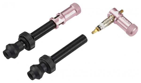 Paire de Valves Tubeless Granite Design Juicy Nipple 60 mm avec Bouchons Démonte-Obus Rose