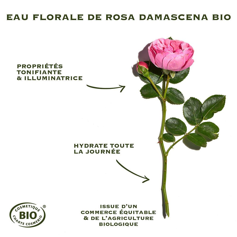 Sanoflore Frische Rose Baume de rosée