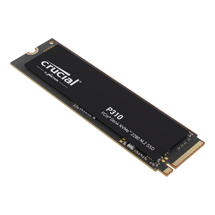Crucial P310 - 500 Go