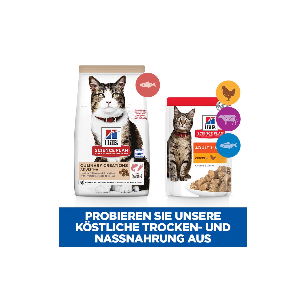 Hill's SCIENCE PLAN Culinary Creations Adult Lachs und Karotten 1,5 kg
