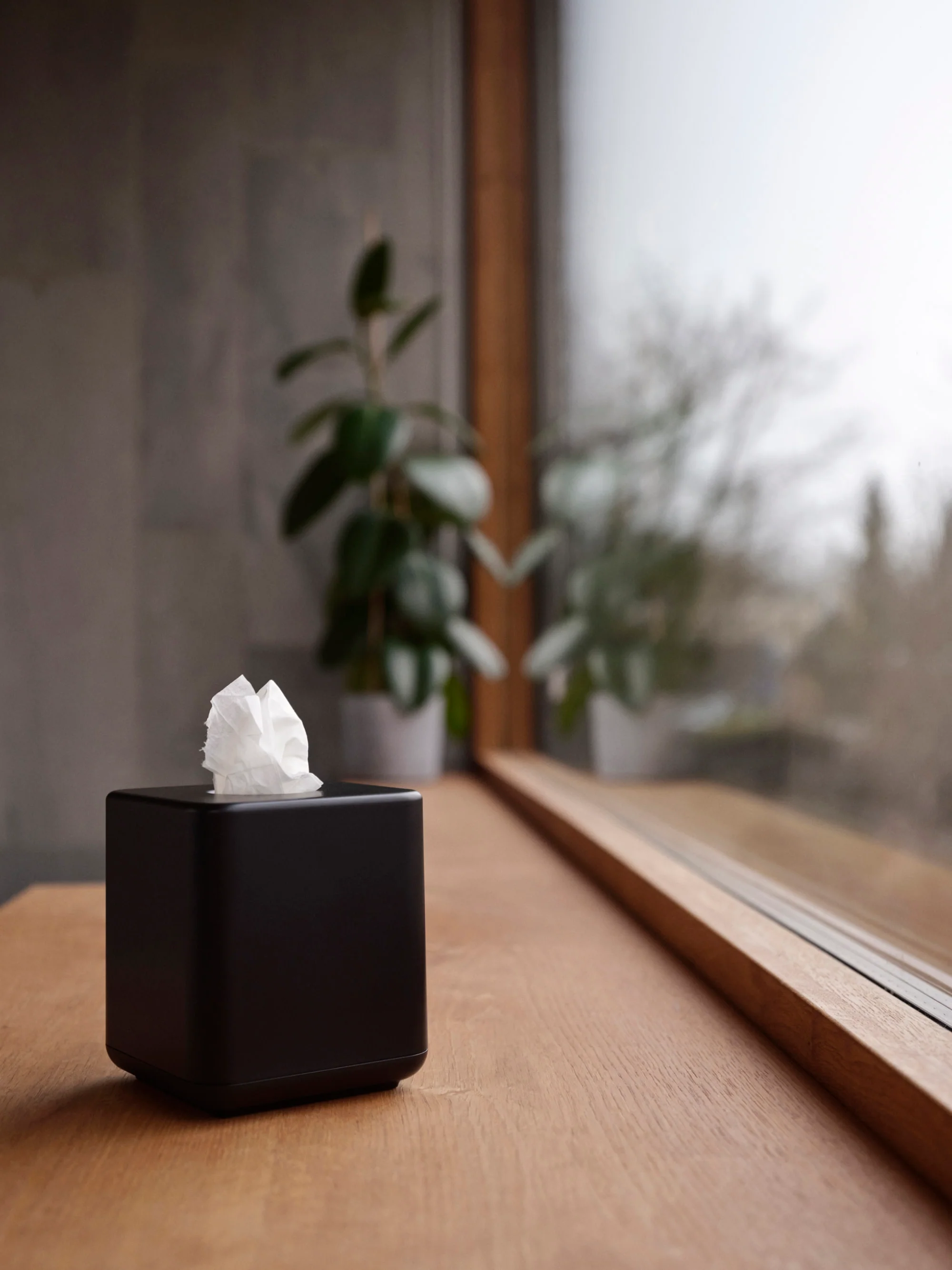Tissuebox Ume