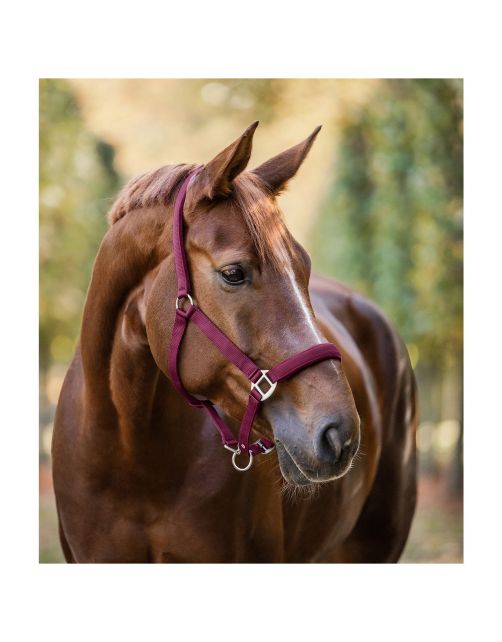 Waldhausen Halster Satin Bordeaux - Paardenhalster
