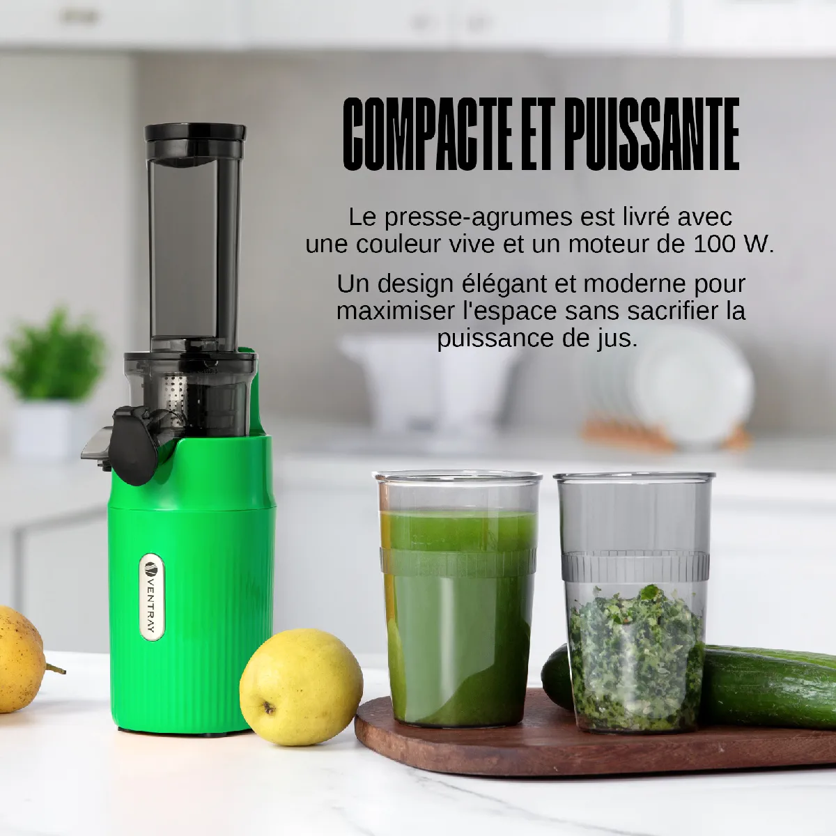 Ventray Essential Ginnie Vert Perroquet