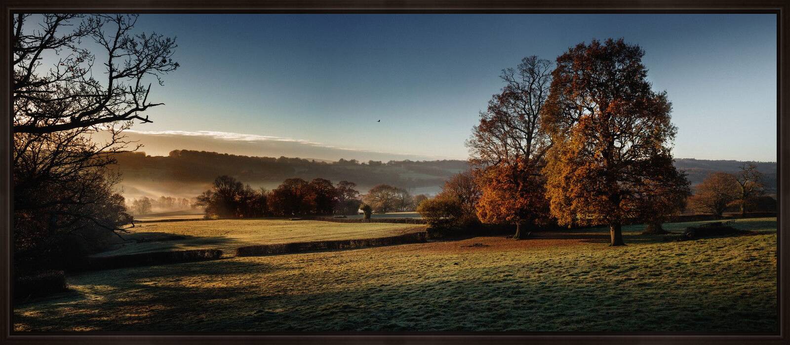 Glebe House Estate, Morning View by Justin Barton - Limited Edition. Edition of: 150. Signed.