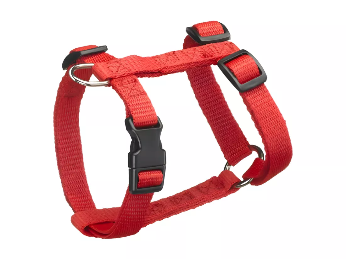 Harnais pour Chien 