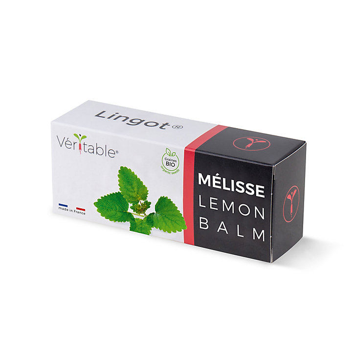 Lingot® Mélisse Bio pour potager Véritable®