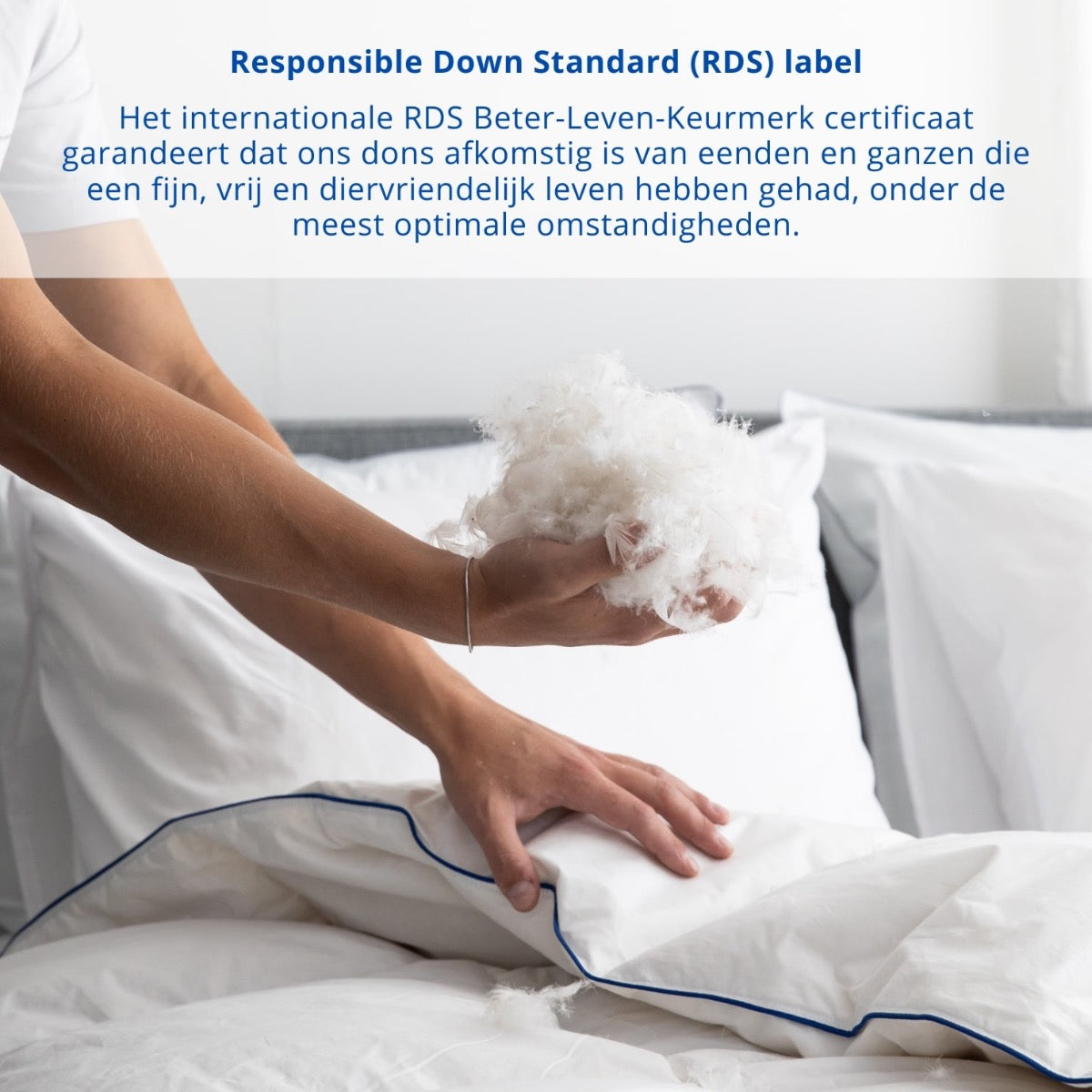 Fabiola - Zwaar Dons - 4-Seizoenen Dekbed - 140x220cm