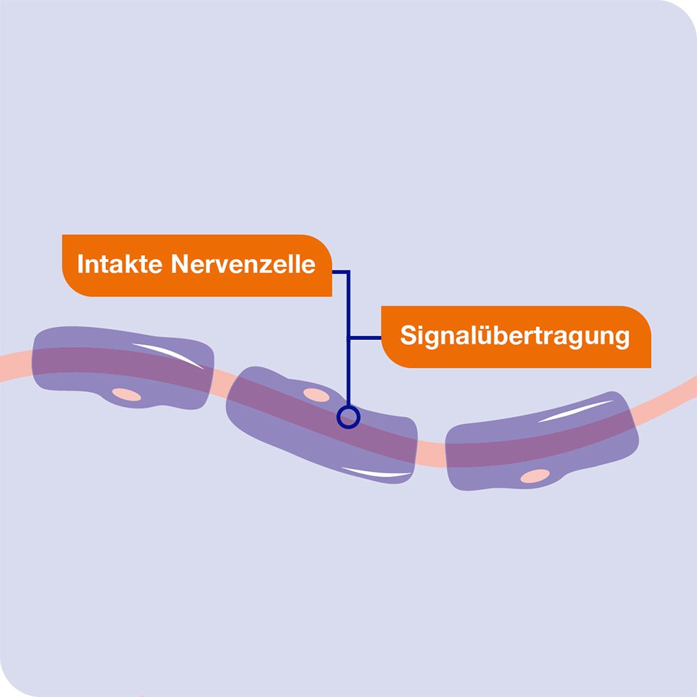 neuroLoges® concept