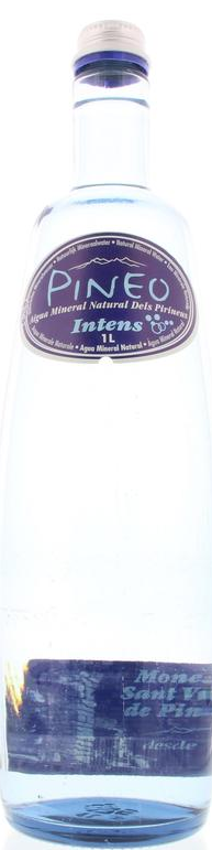 pineo Intens Water met Koolstofdioxide 1000ml