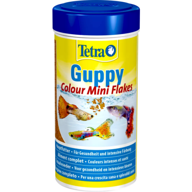 Alimentation Tetra Guppy colour 250 ml pour poissons