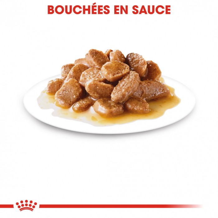 Royal Canin Mini Adult - Pâtée pour chien