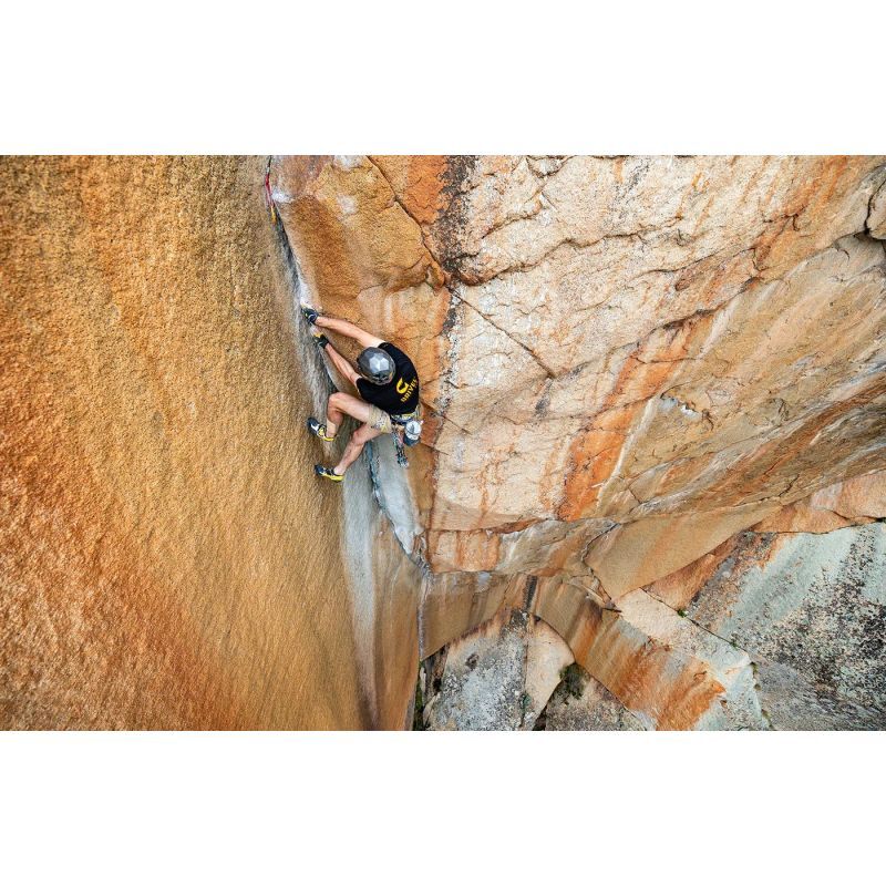Trend Harness - Baudrier