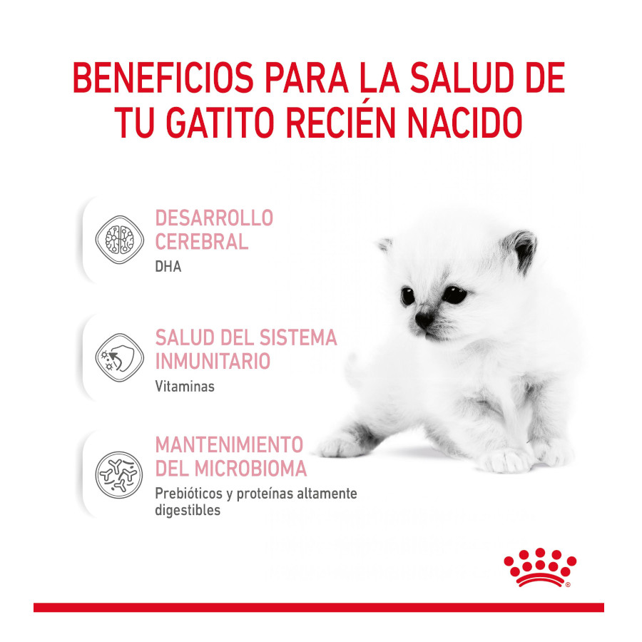 Leite Royal Canin para gatinhos no primeiro ano de vida.