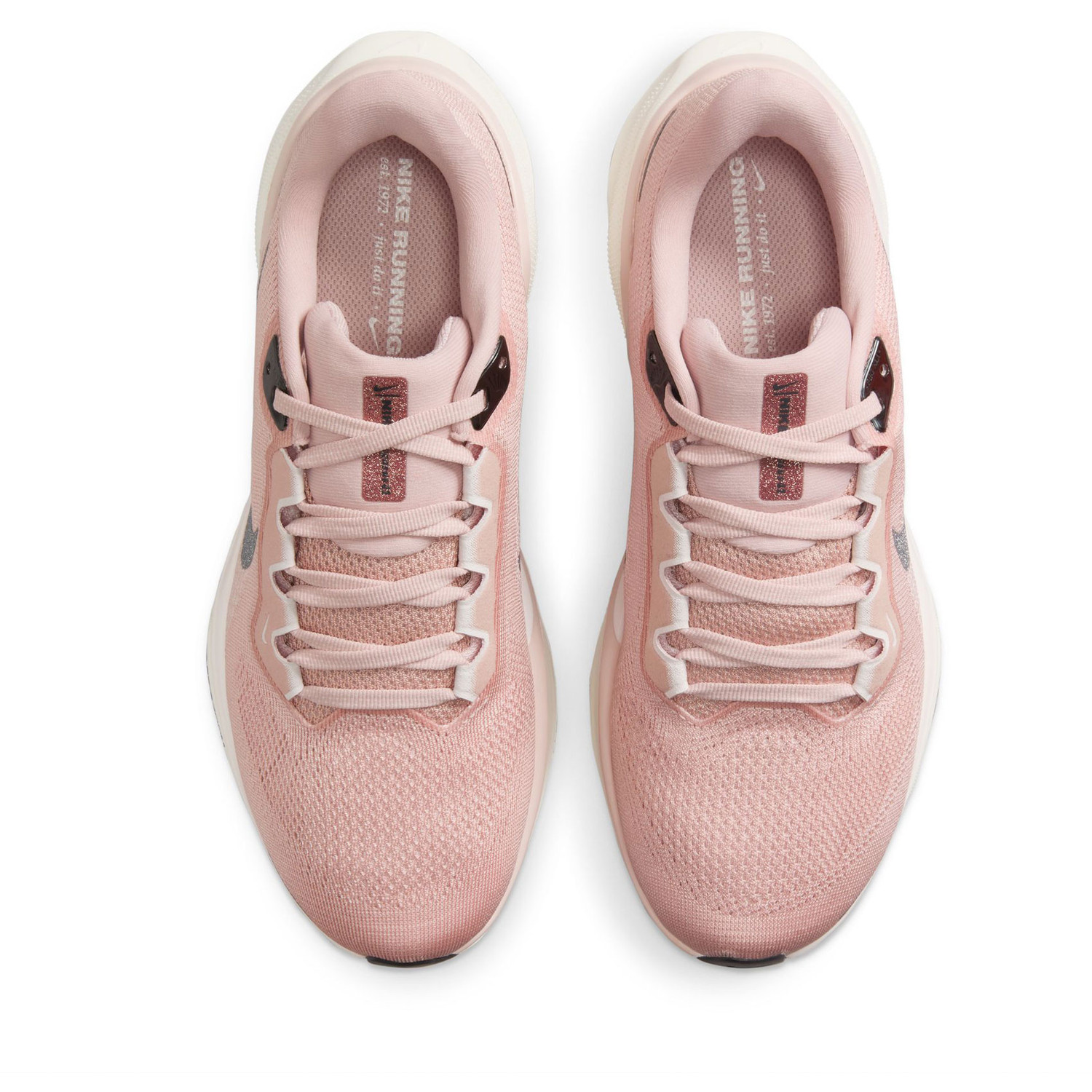 Nike Pegasus 41 PRM Dames