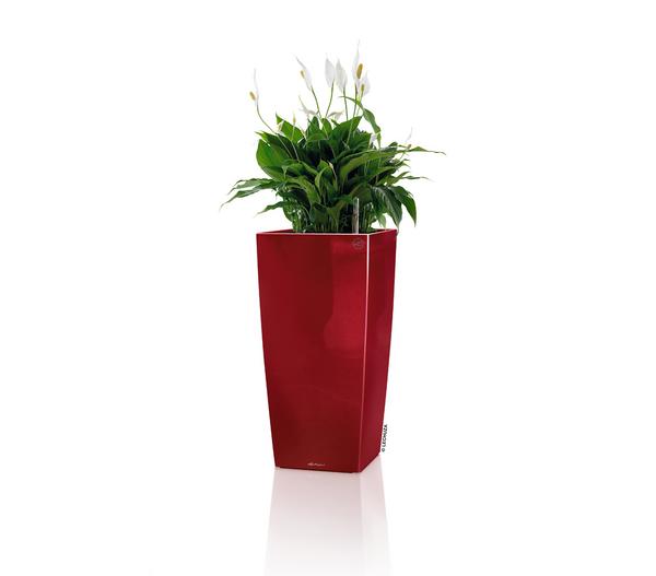 LECHUZA® CUBICO Premium, All-in-One-Set