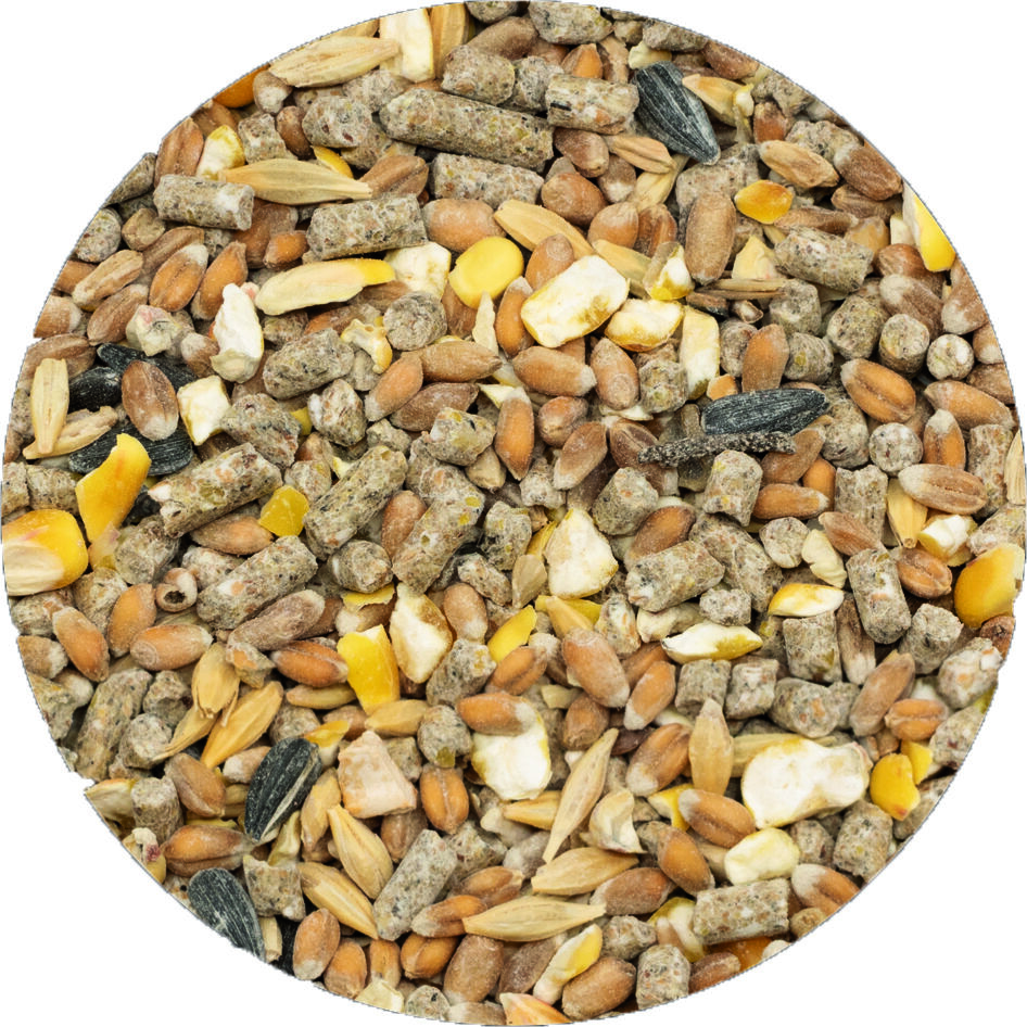 Welkoop Kippenmix - Kippenvoer - 5 Kilogram
