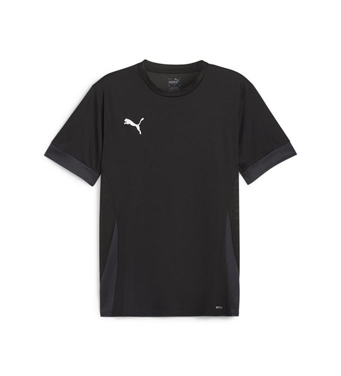 PUMA Men TeamGOAL Matchday T-Shirt