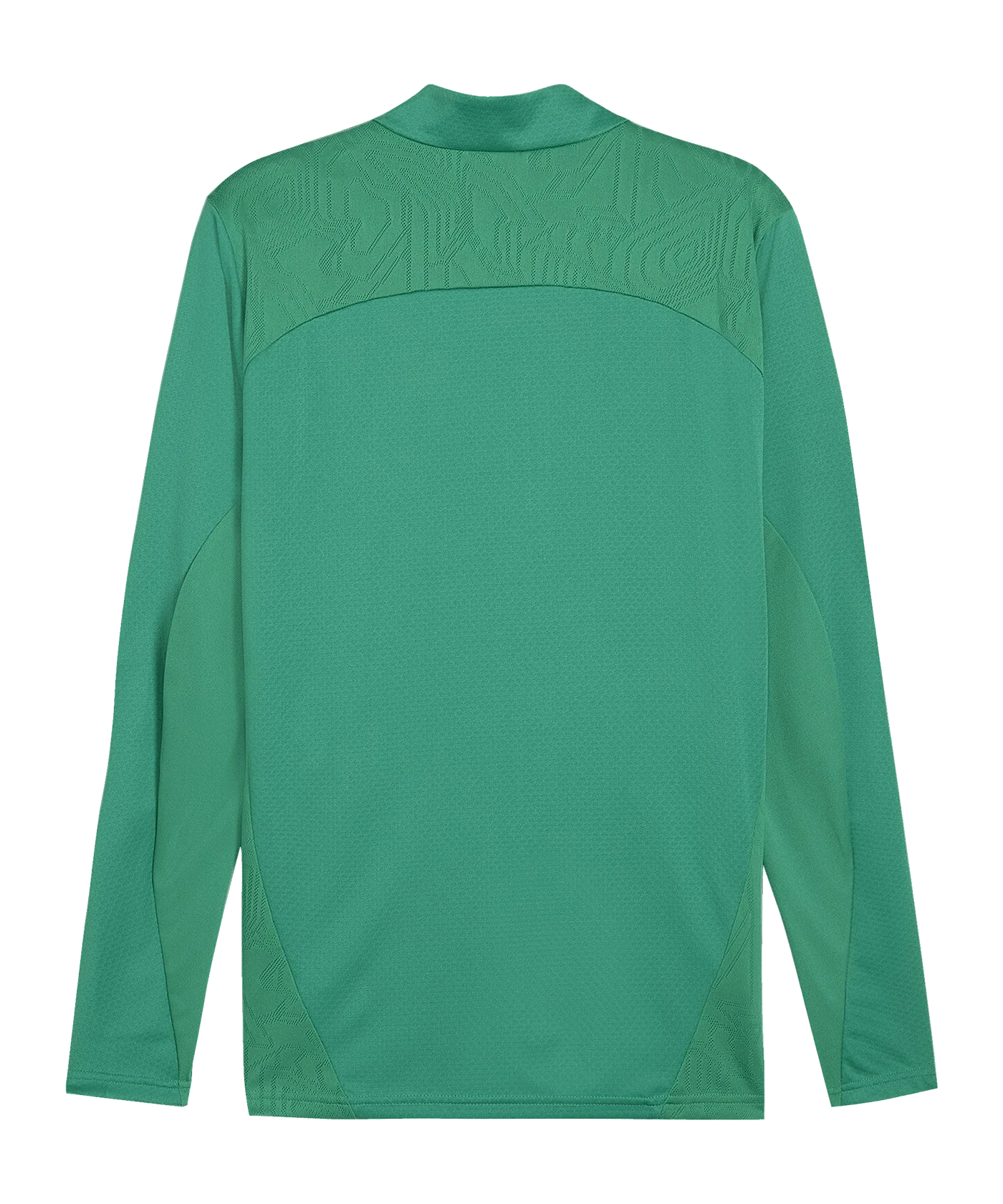 PUMA SK Rapid Wien Prematch Jacke 2024/2025 Grün F05