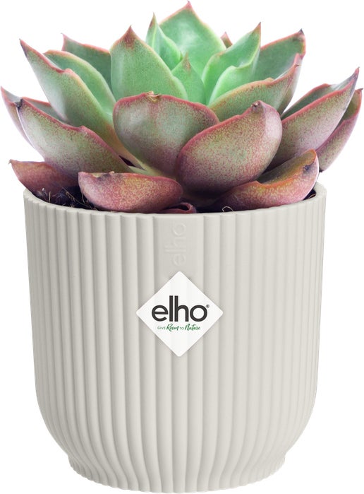 Elho bloempot Vibes wit D 7 H 6,5 cm