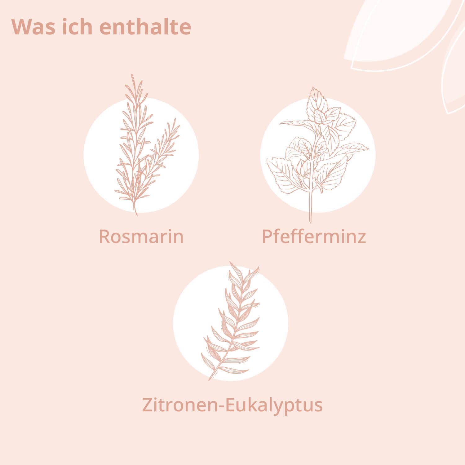 Bio-Lern Wohl Aroma Öl - kindgesund®