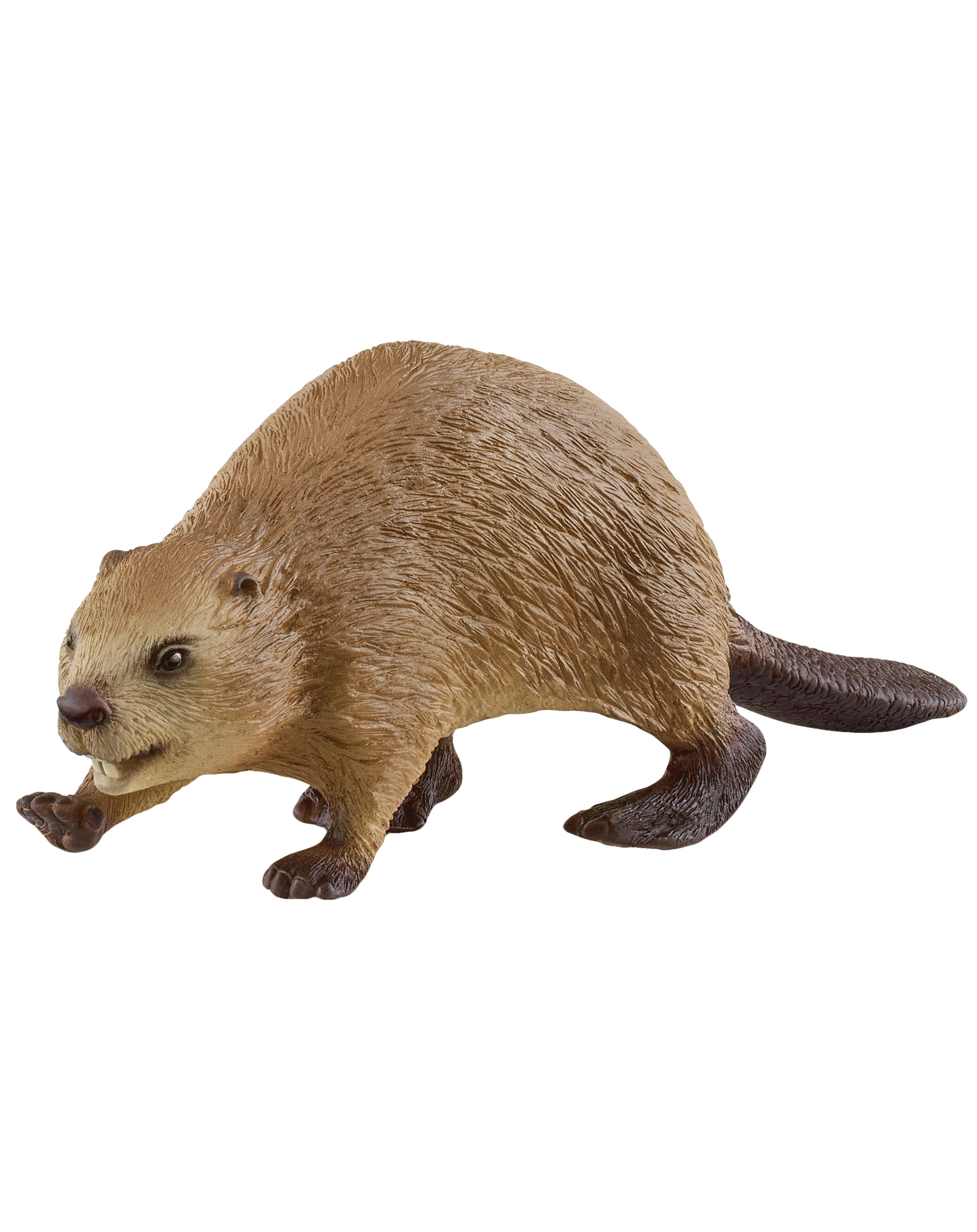 schleich® 14855 Wild Life - Biber