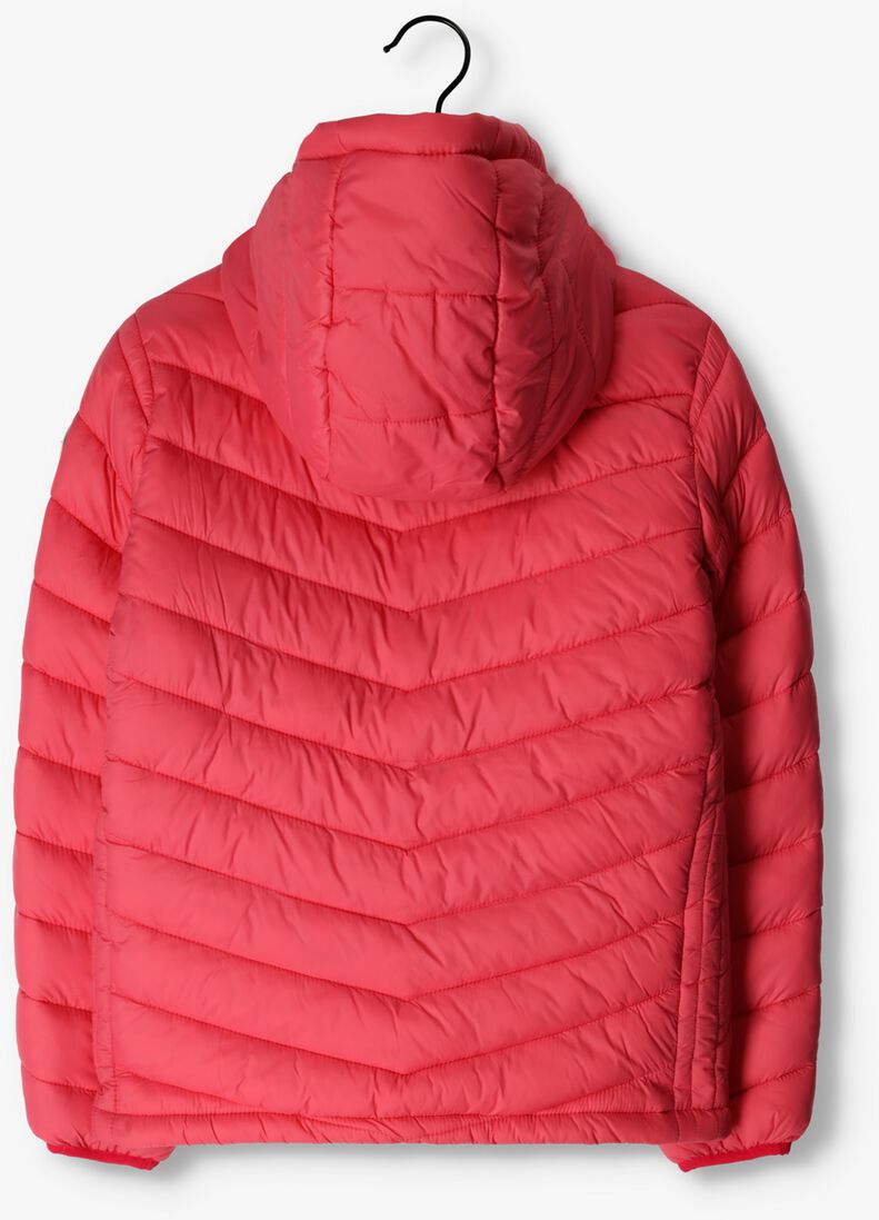 CARS JEANS roze cars jeans jack zoie