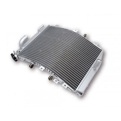 Radiateur Brazoline A EAU ADAPTABLE