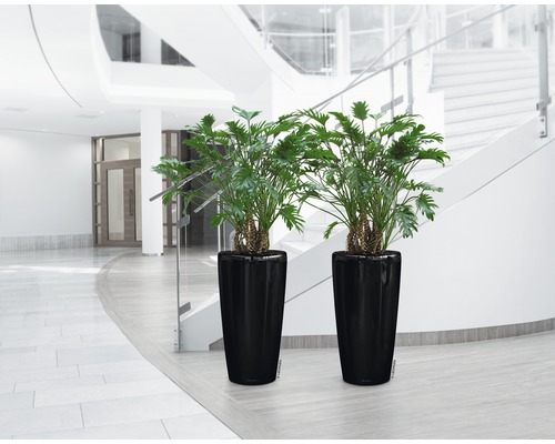 Lechuza Rondo plantenbak Ø 32 cm H 56 cm zwart incl. zelfbewateringssysteem, plantenbak, substraat en waterniveau-indicator