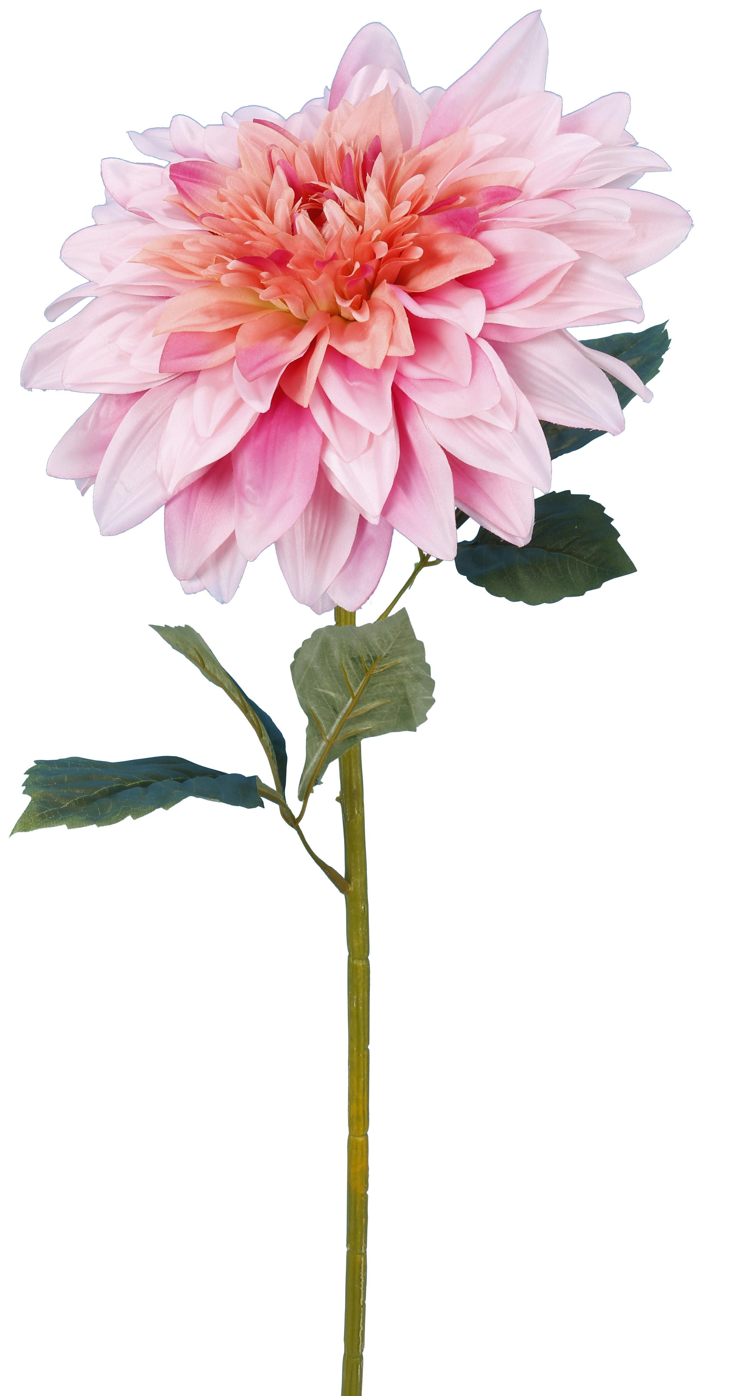 DAHLIA ROSE H.95CM
