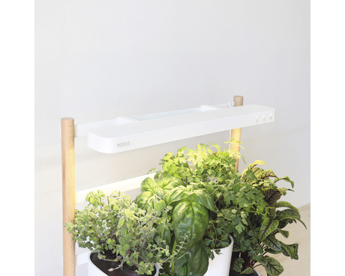 Binnentuin smart Prêt à Pousser Modulo 2 kunststof wit incl. 4 potten en 4 capsules
