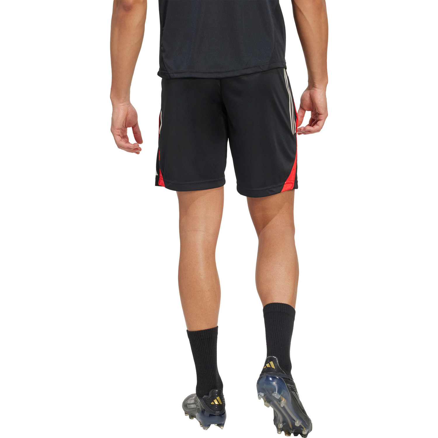 adidas SL Benfica Training Short 2025/2026