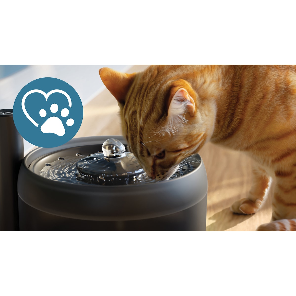Philips Pet Series vannfontene PAW3210/02 (sort)
