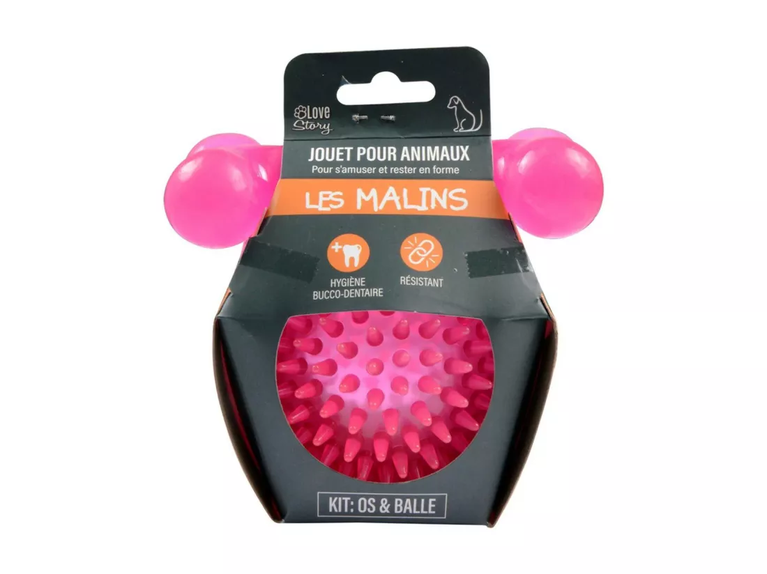 Lot de 2 Jouets pour Chien 