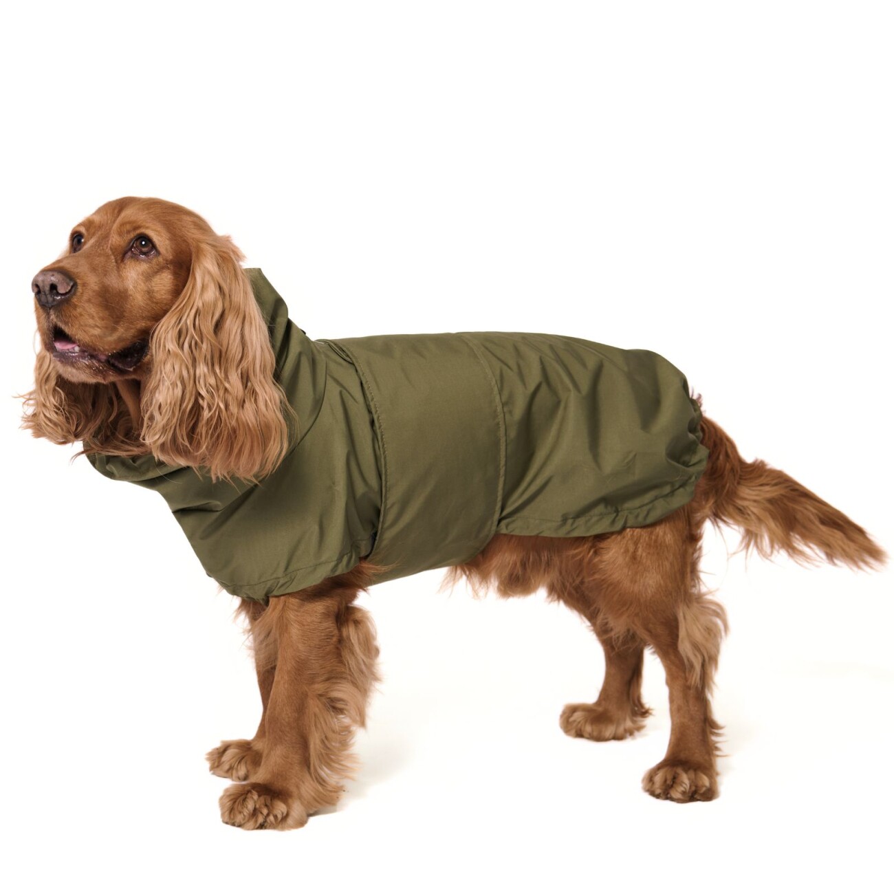 PAW WOW Hunderegenmantel OSKAR Olive M
