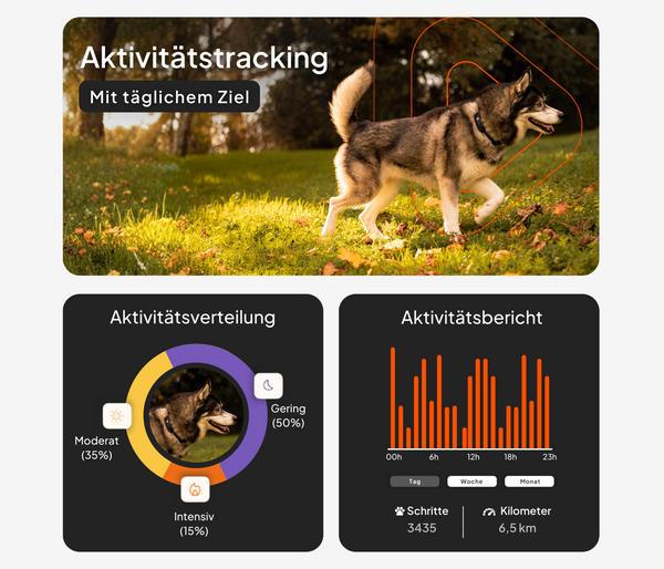 Weenect XT GPS-Tracker für Hunde inkl. JK9