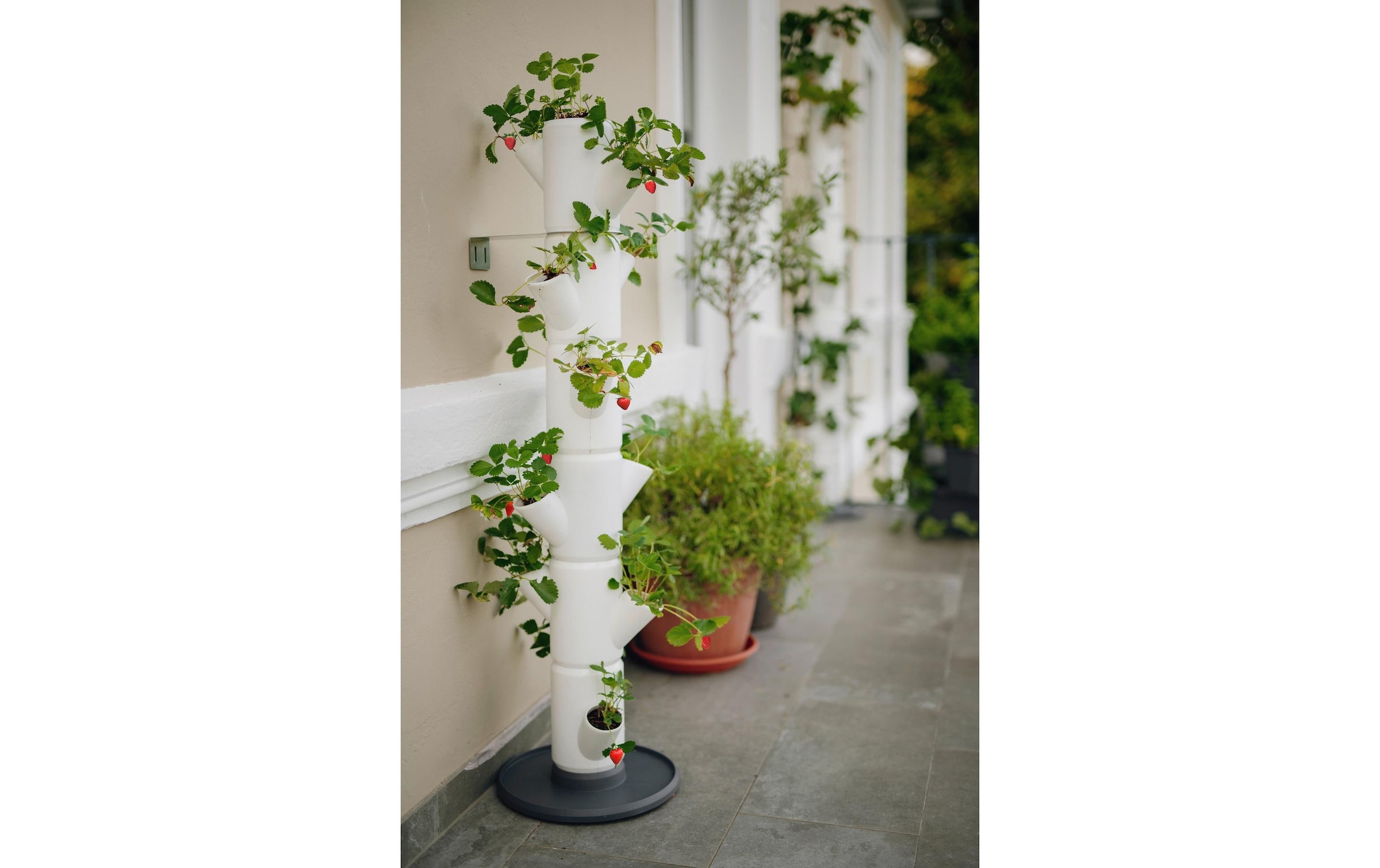 Gusta Garden Pflanzkübel »SISSI ST«