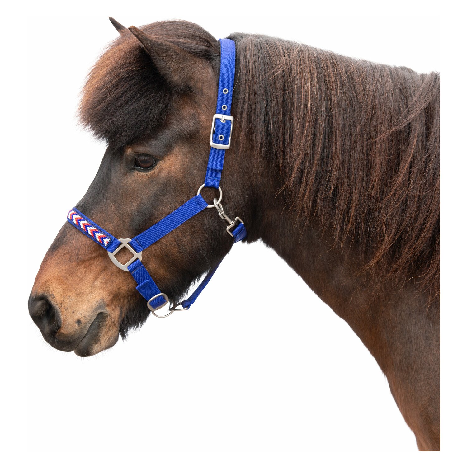 Horse-friends Island-Halfter Falkirk  - blue