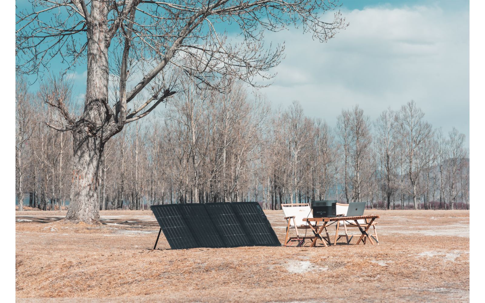 EcoFlow Bifaziales Tragbares Solarpanel 220 W