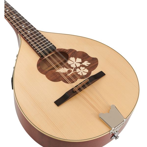 Thomann Europe Mandola M1088-P