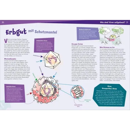 Tessloff WAS IST WAS Naturwissenschaften easy! Biologie. Die Viren und wir