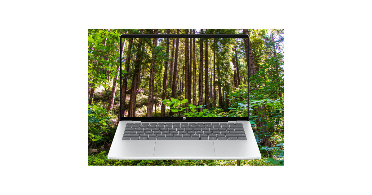 HPOmniBook 5 Next Gen AI 14-he0001nd (C0EF7EA) 14