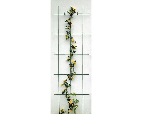 Decoratief trellis, 3-strut, Lafiora staal, 45x150 cm, groen, inclusief bevestigingsmateriaal
