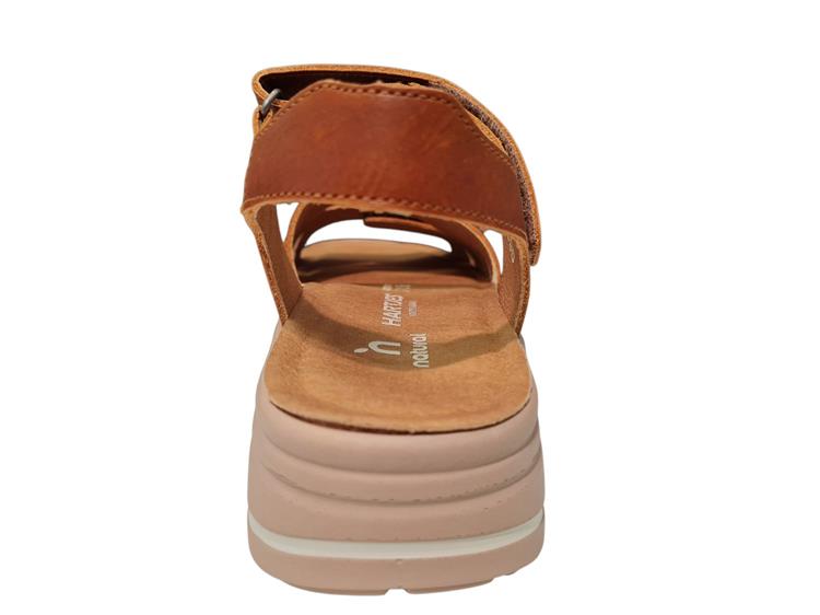 Hartjes 132.2004-53.00 Bruin